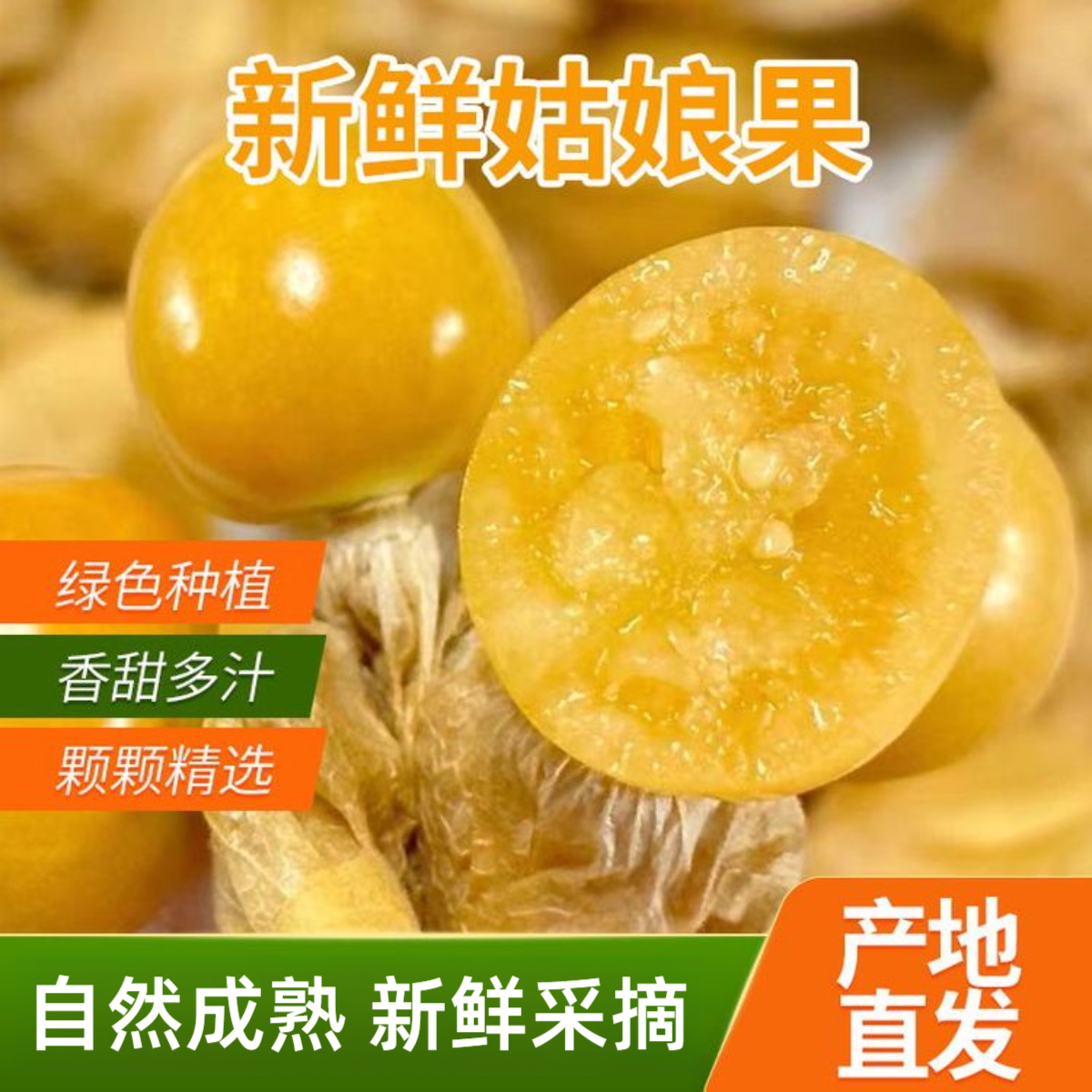 HH东北姑娘果产地直发灯笼果一整箱包邮黄菇娘果菇凉果当季水果