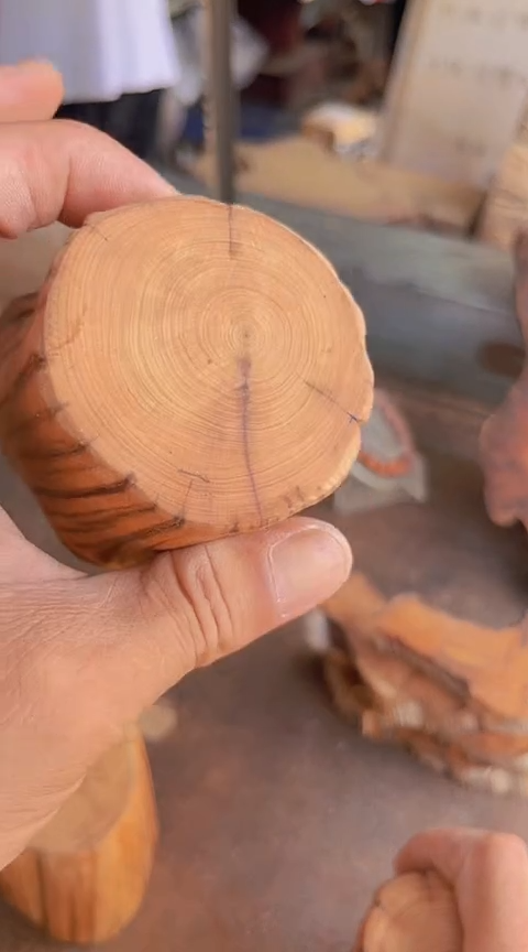 柏木（崖柏）020崖柏小木桩