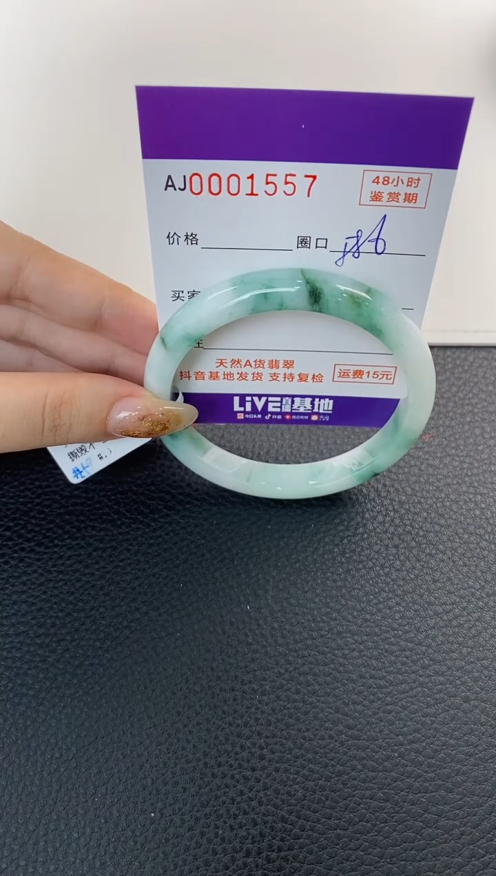 未镶嵌手镯翡翠天然A货翡翠