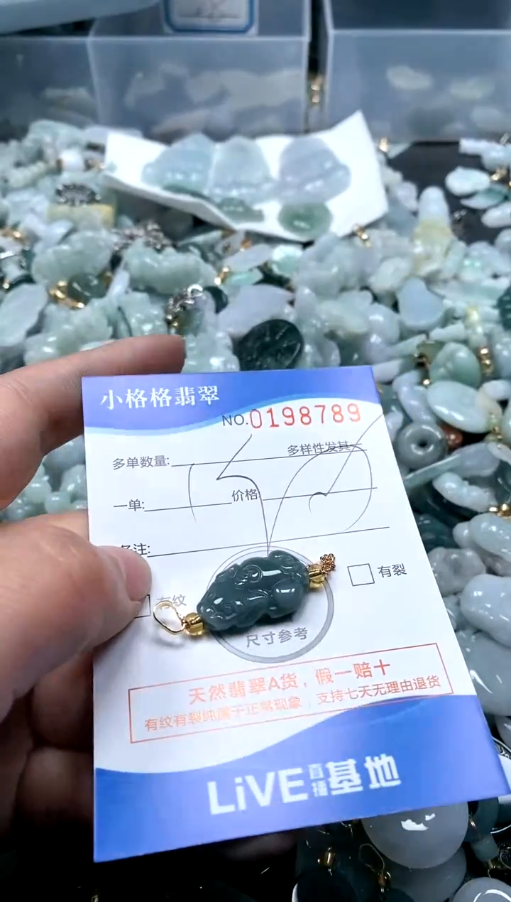 【闪购商品】翡翠颈饰未镶嵌闪购商品0198789