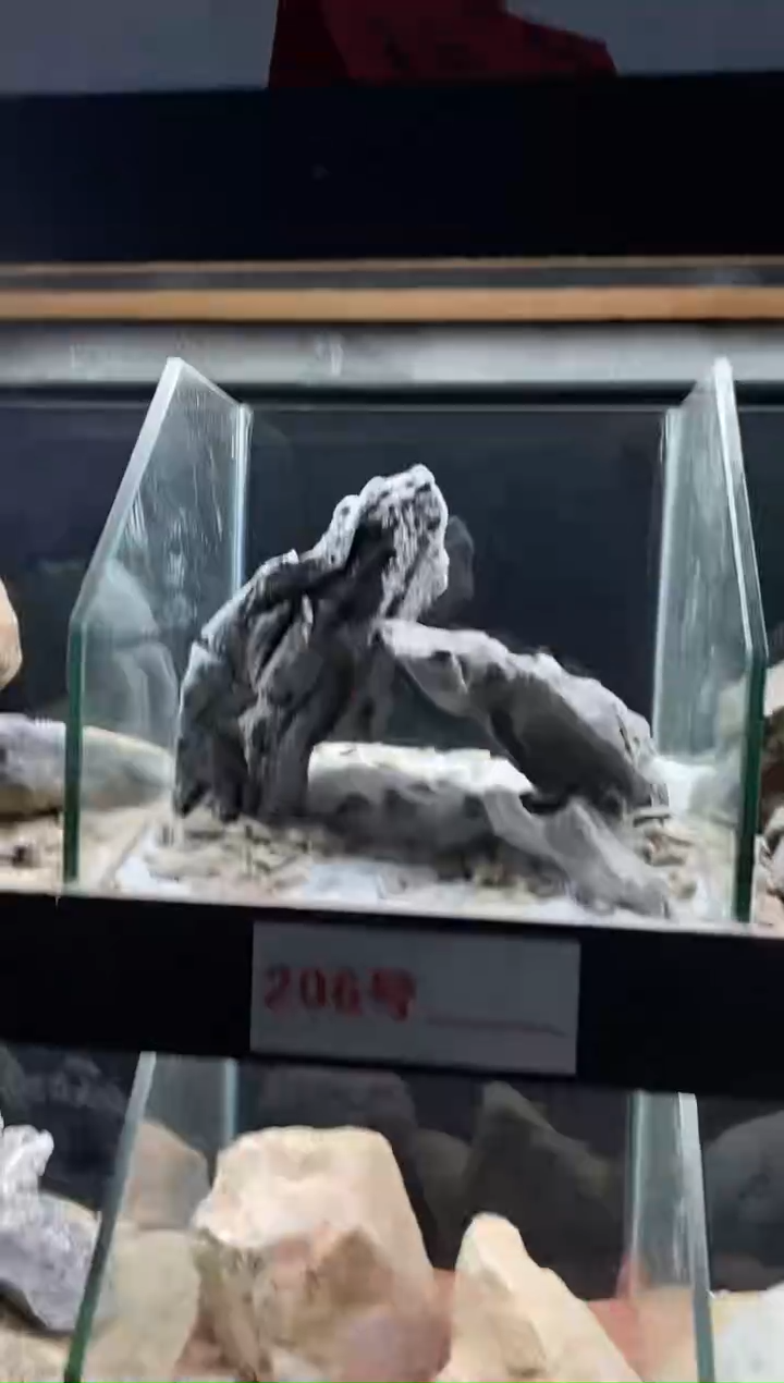 206号鱼缸造景（不含底砂）