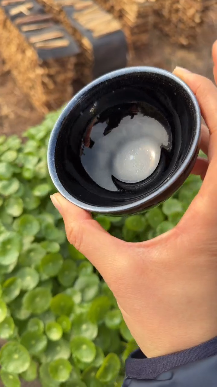 茶盏暨子文高端收藏187