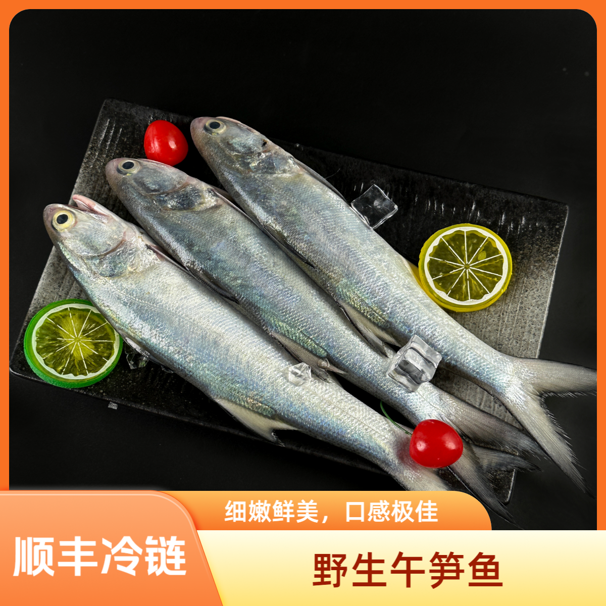 汕头海门海鲜 野生午笋鱼 马友鱼 顺丰冷链