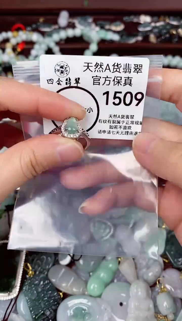 【闪购商品】翡翠颈饰未镶嵌天然A货翡翠1509