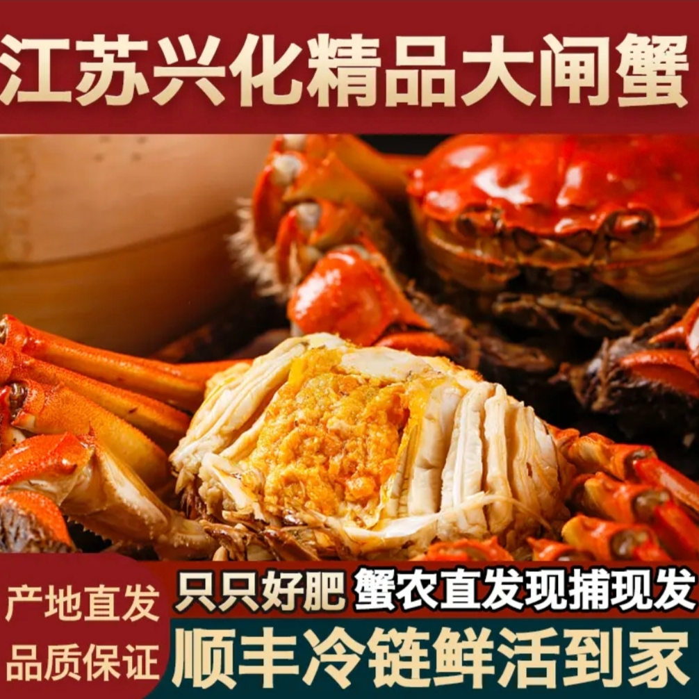 【活蟹现发】江苏红膏大闸蟹公4.8-5.1两4只+母3.8-4.1两4只礼盒发