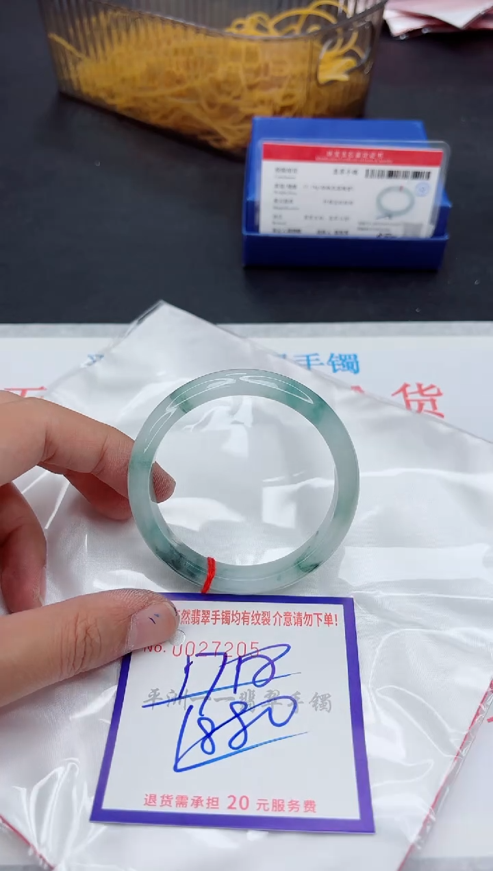 未镶嵌手镯翡翠1