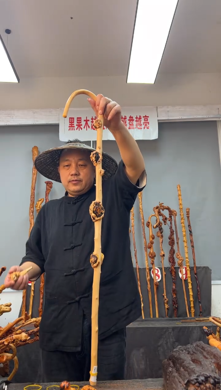 【闪购商品】黑果木其他黑果木121