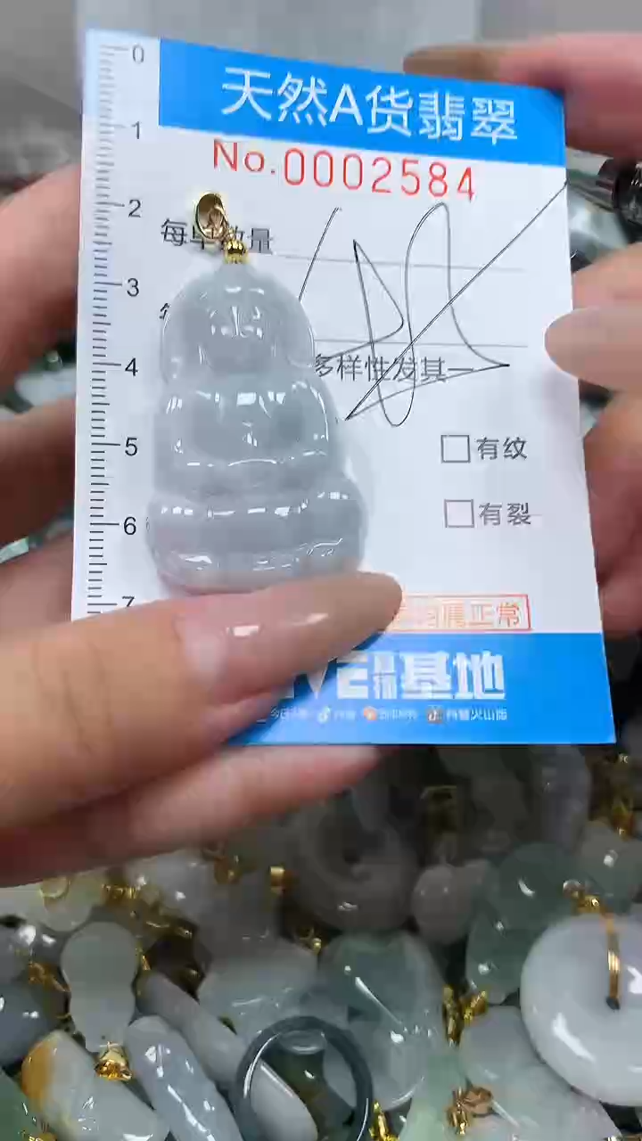 翡翠未镶嵌颈饰净货挂件-2584