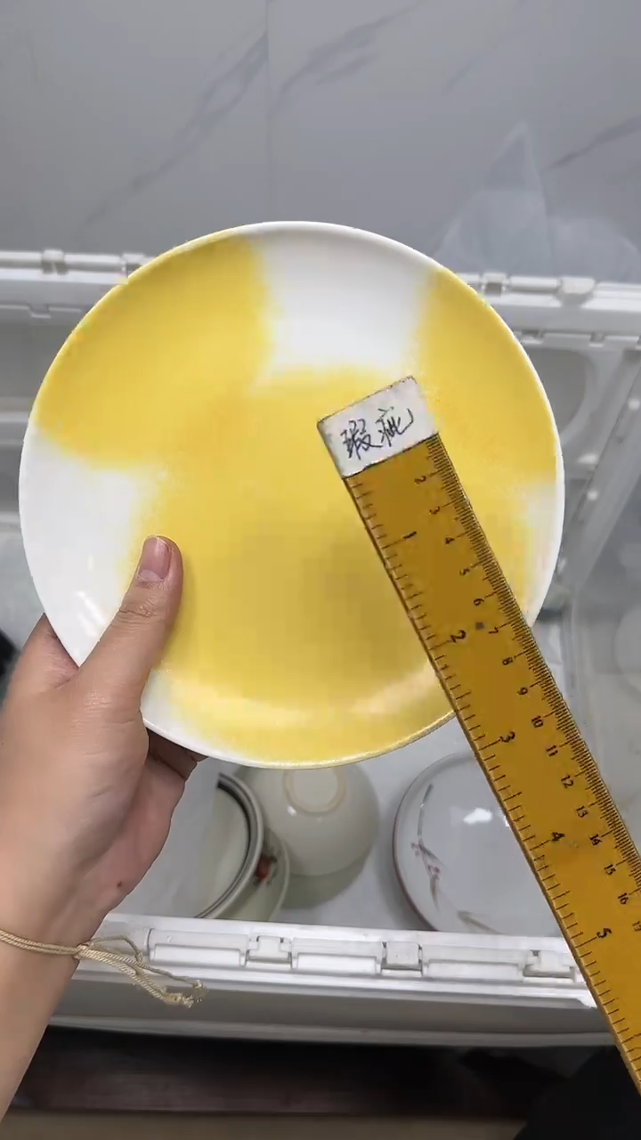 【闪购商品】4569回流瓷器默认微瑕，18.8包邮