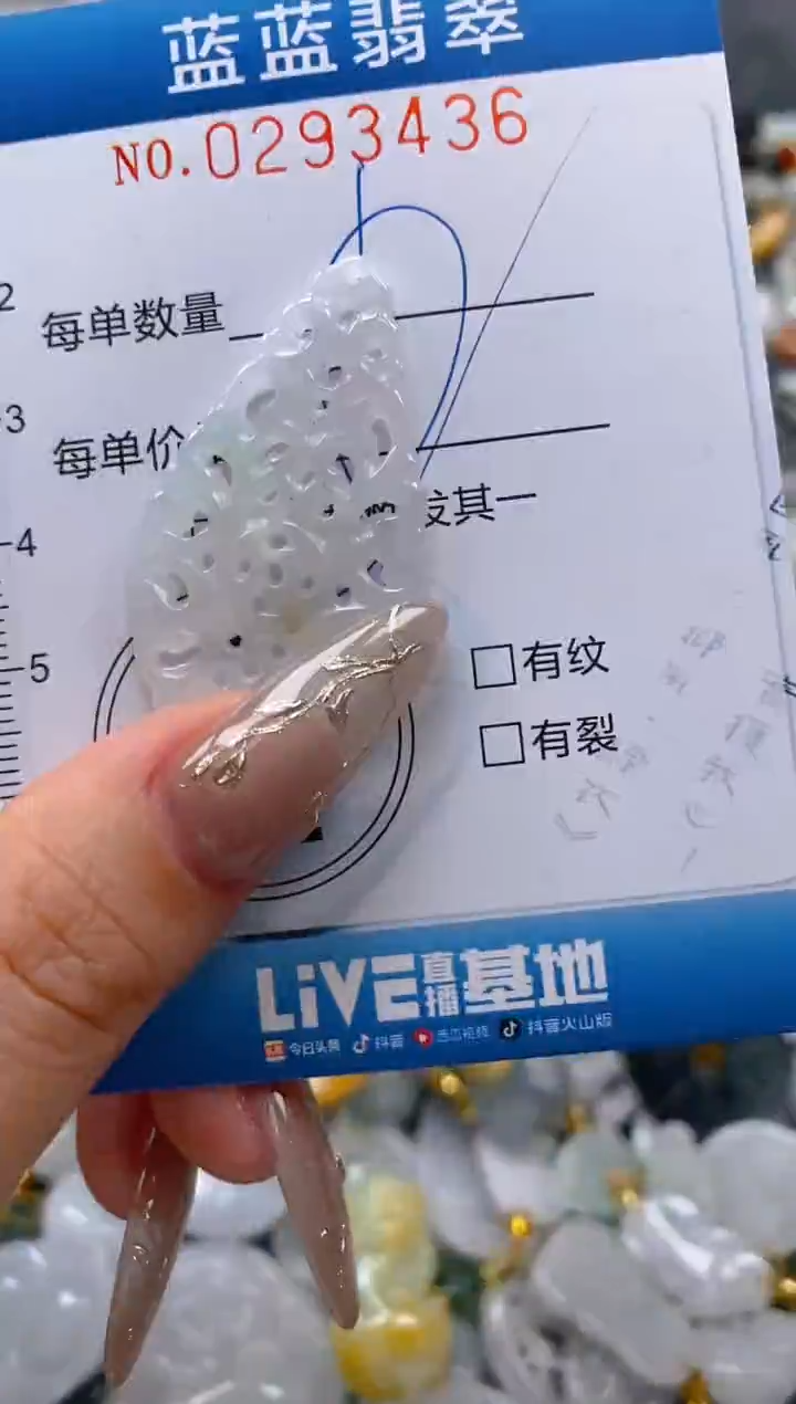 翡翠未镶嵌颈饰闪购0293436
