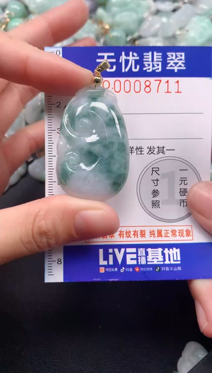 颈饰未镶嵌翡翠8711