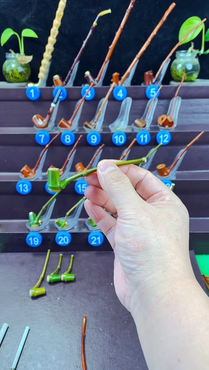 木老*檬子木的精品小斗