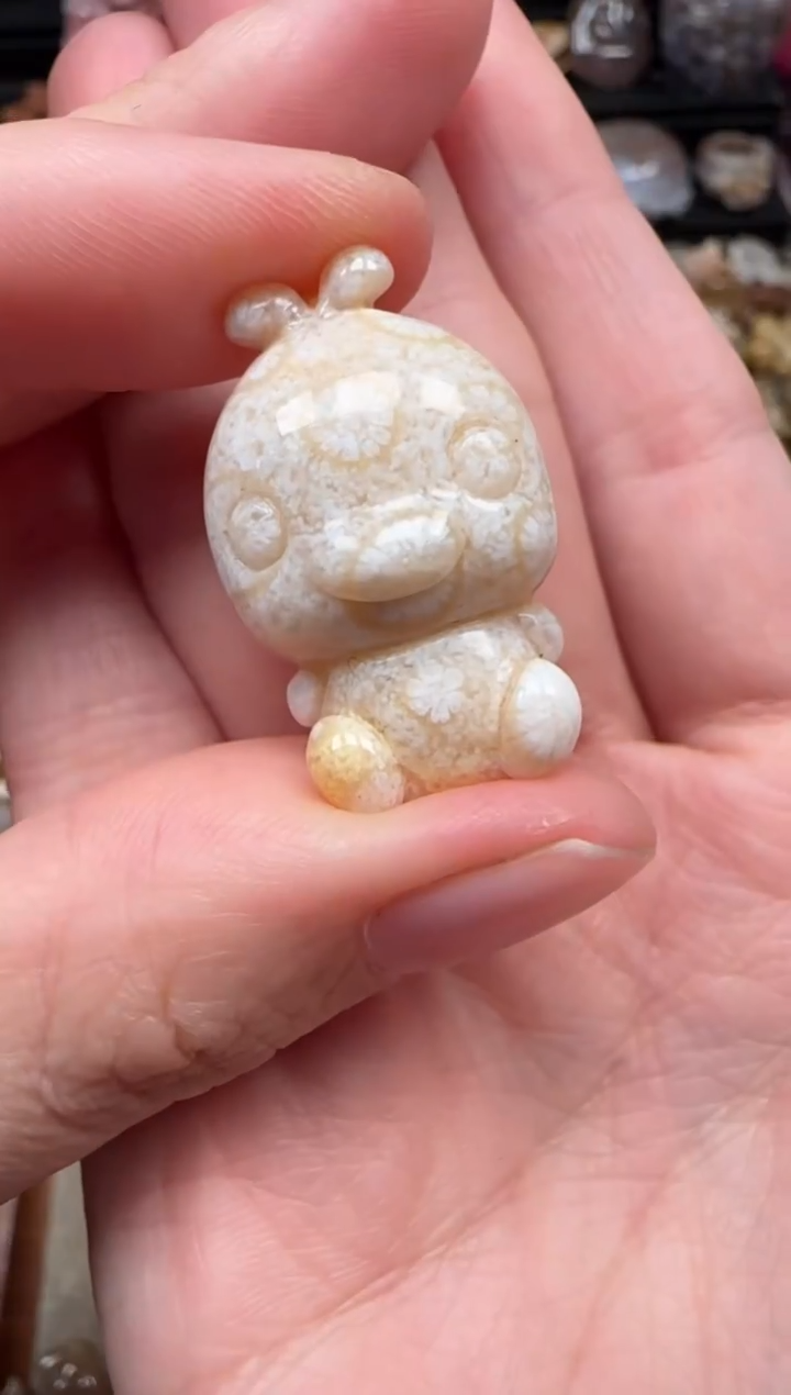 颈饰未镶嵌硅化珊瑚（珊瑚玉）362