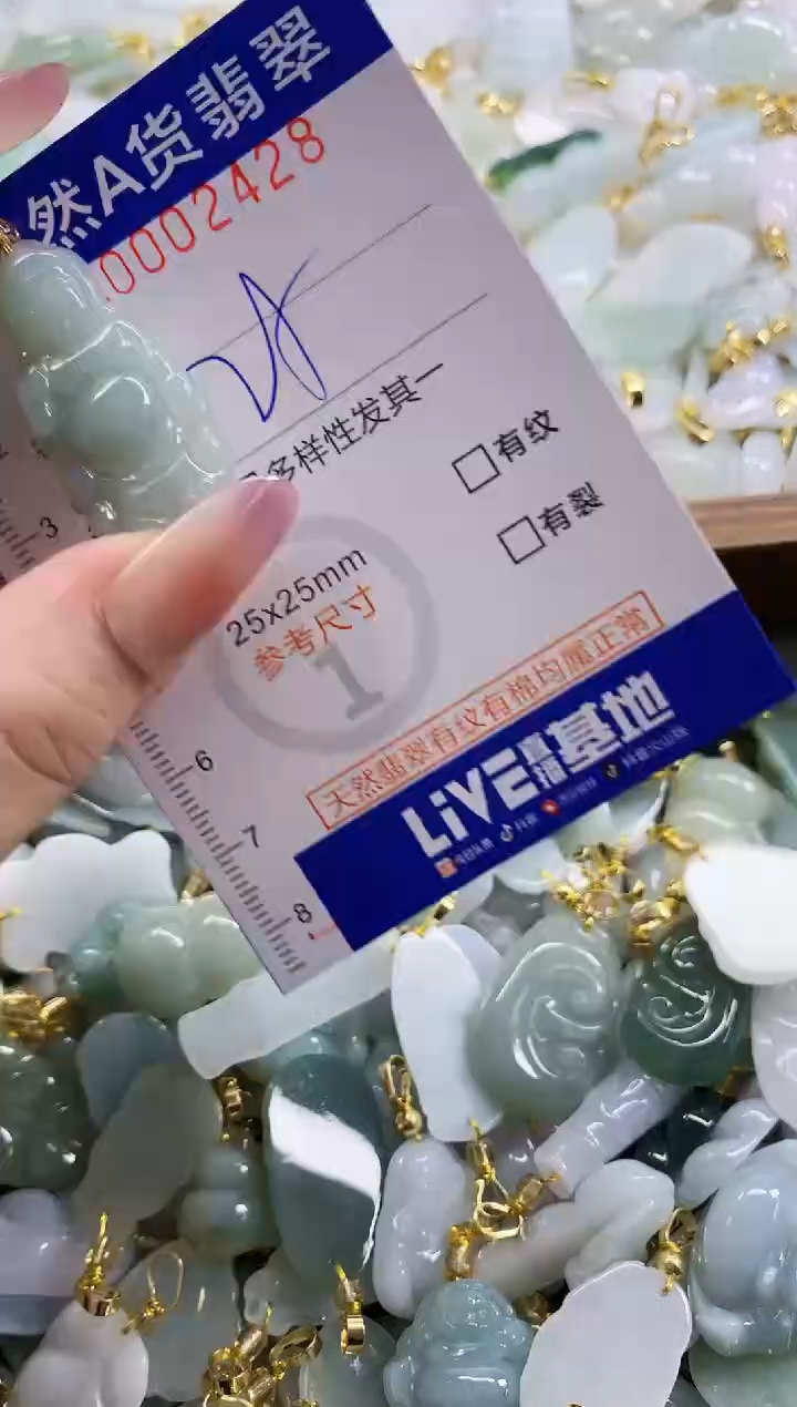 颈饰未镶嵌翡翠天然A货翡翠