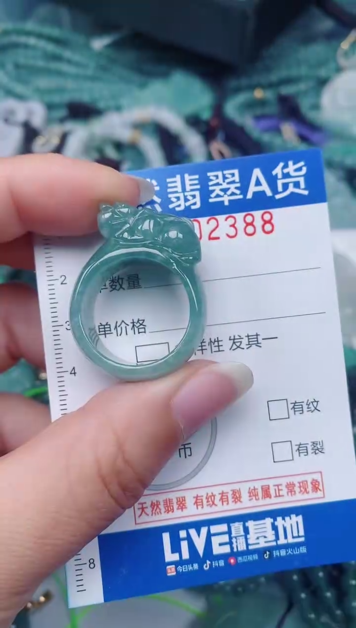 颈饰未镶嵌翡翠00002388