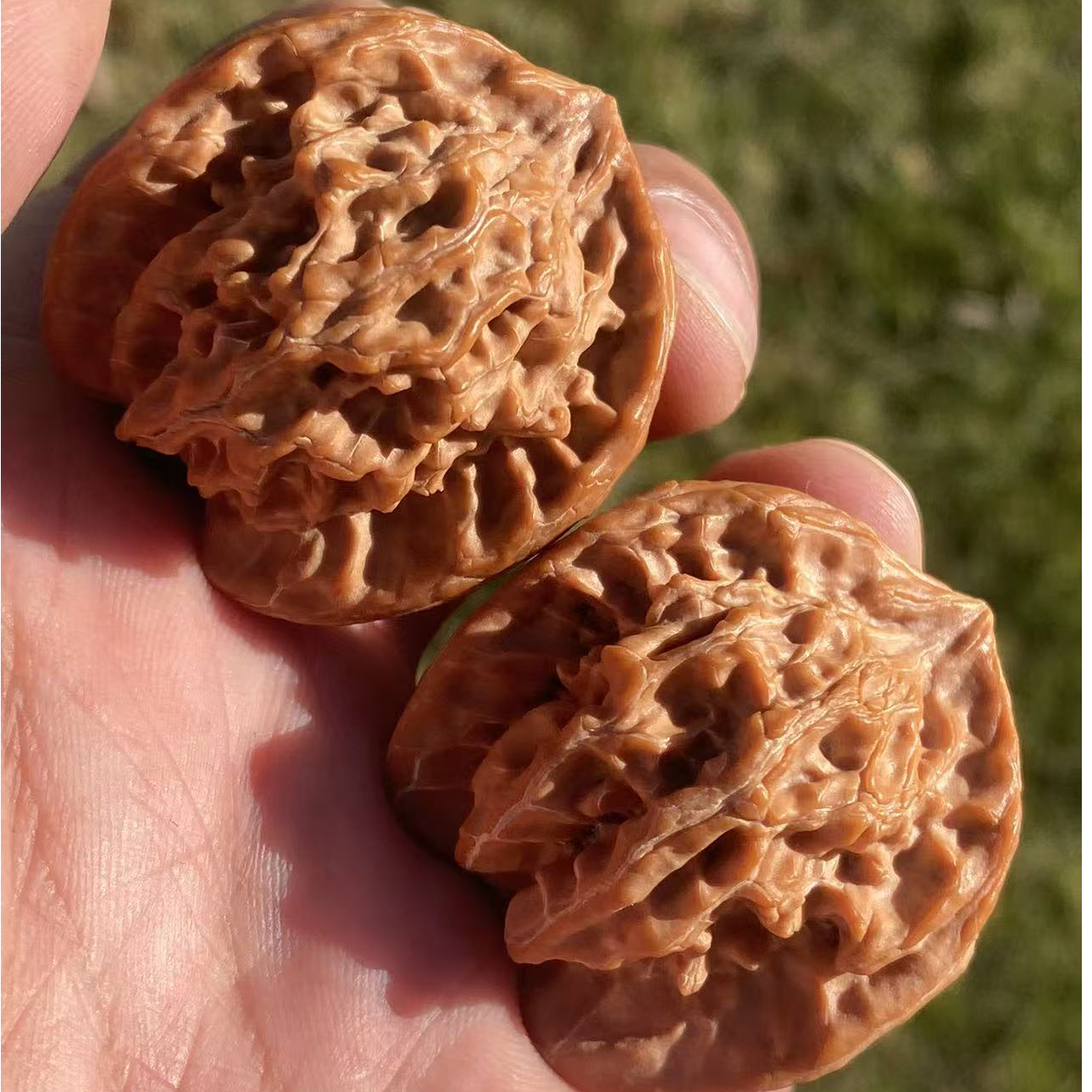 精品盘山公子帽三棱正奔xd03