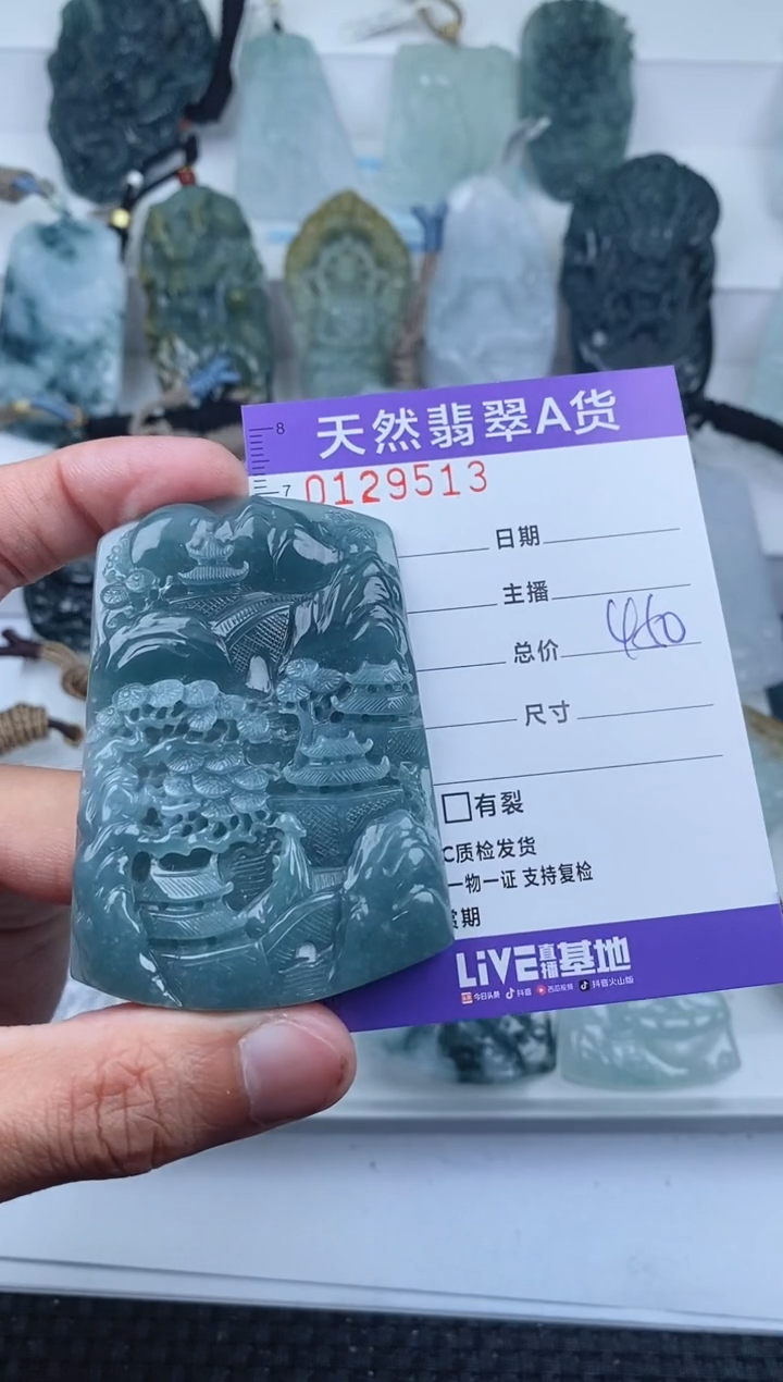 【闪购商品】翡翠颈饰未镶嵌         513