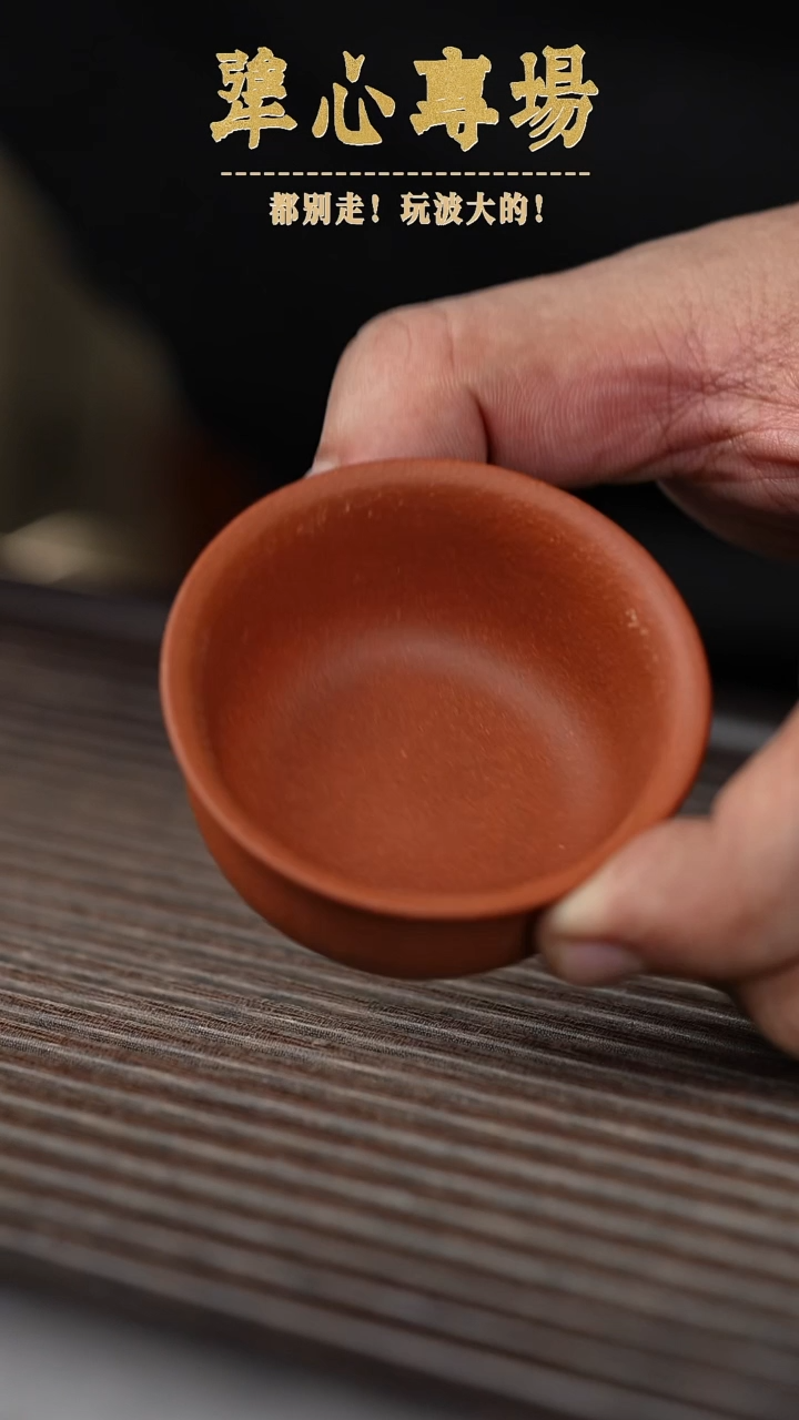 【闪购商品】紫砂茶壶黄龙山原矿紫砂壶