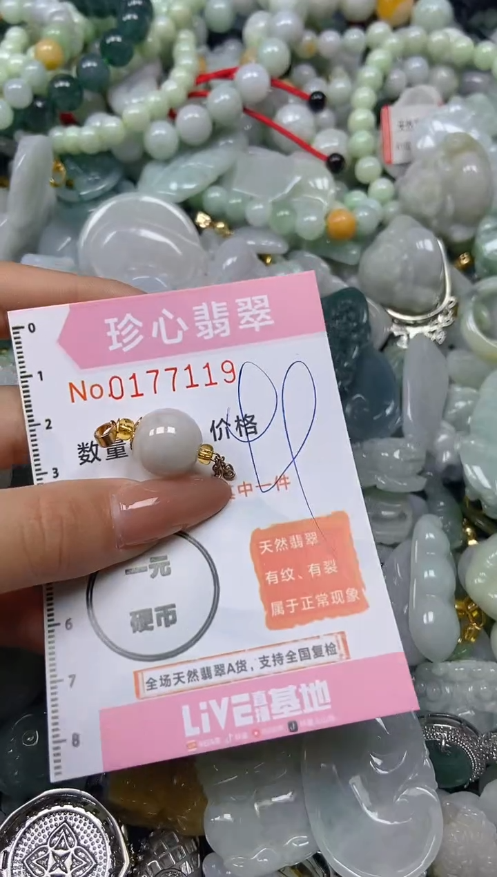 【闪购商品】翡翠颈饰未镶嵌闪购0177119