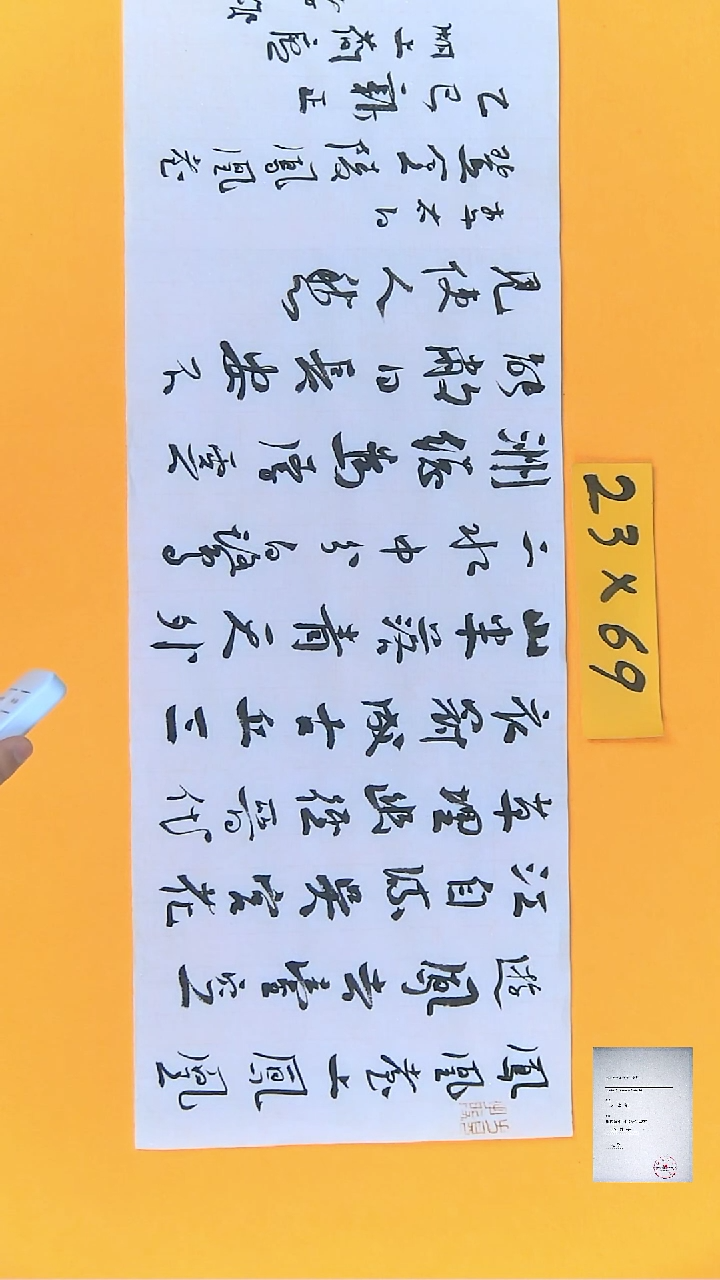 【闪购商品】书法江孝龙书法登金陵凤凰23*69