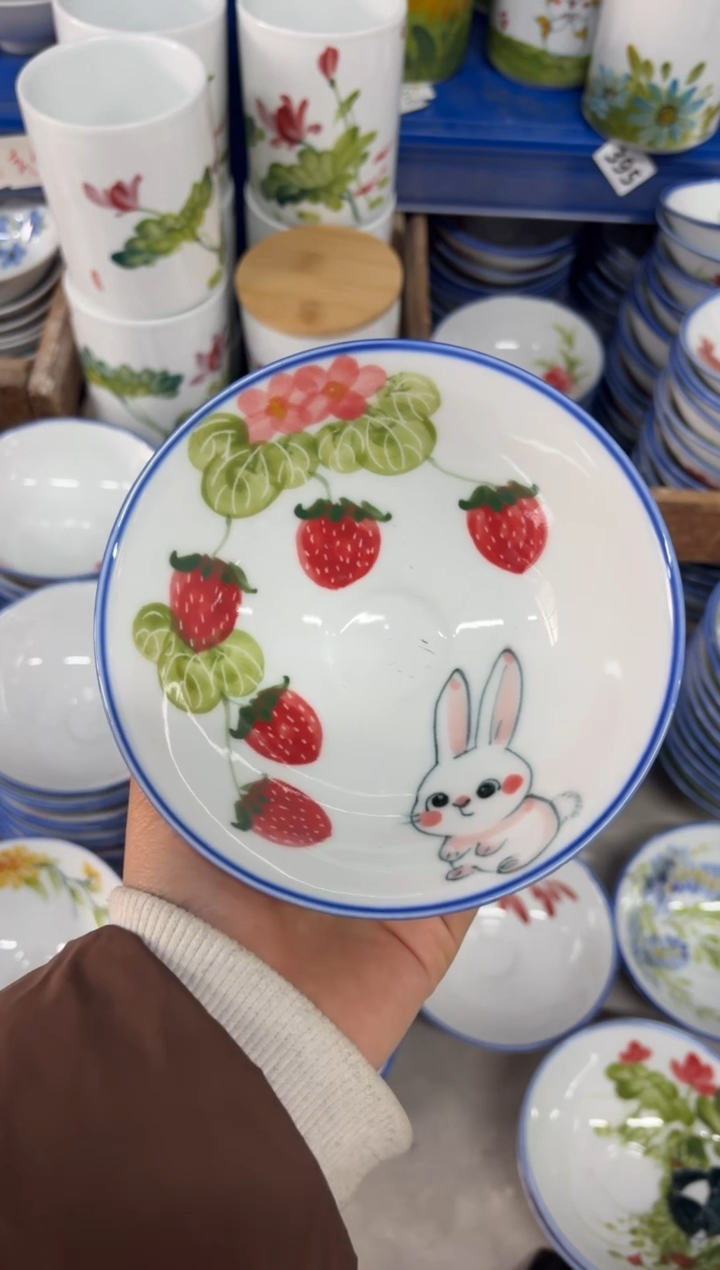 瓷片景德镇高温陶瓷食品级手绘釉中彩-斗笠碗