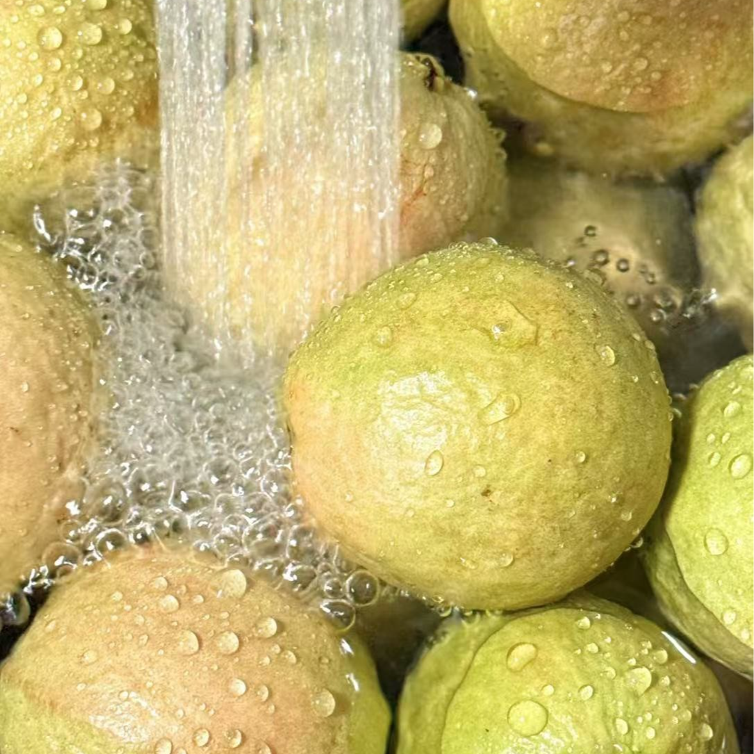 【奶油芭乐】甜甜糯糯芭乐g