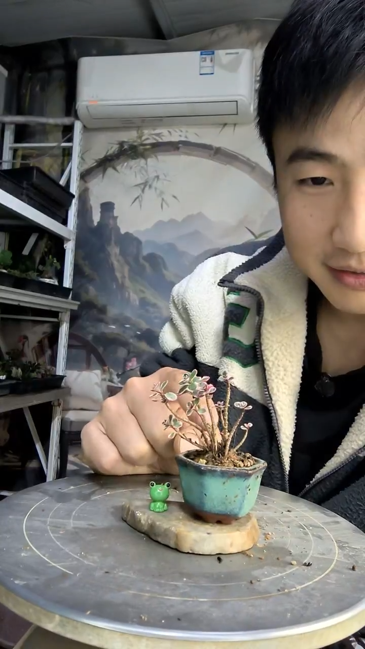 ?****%中青园艺一物一拍15
