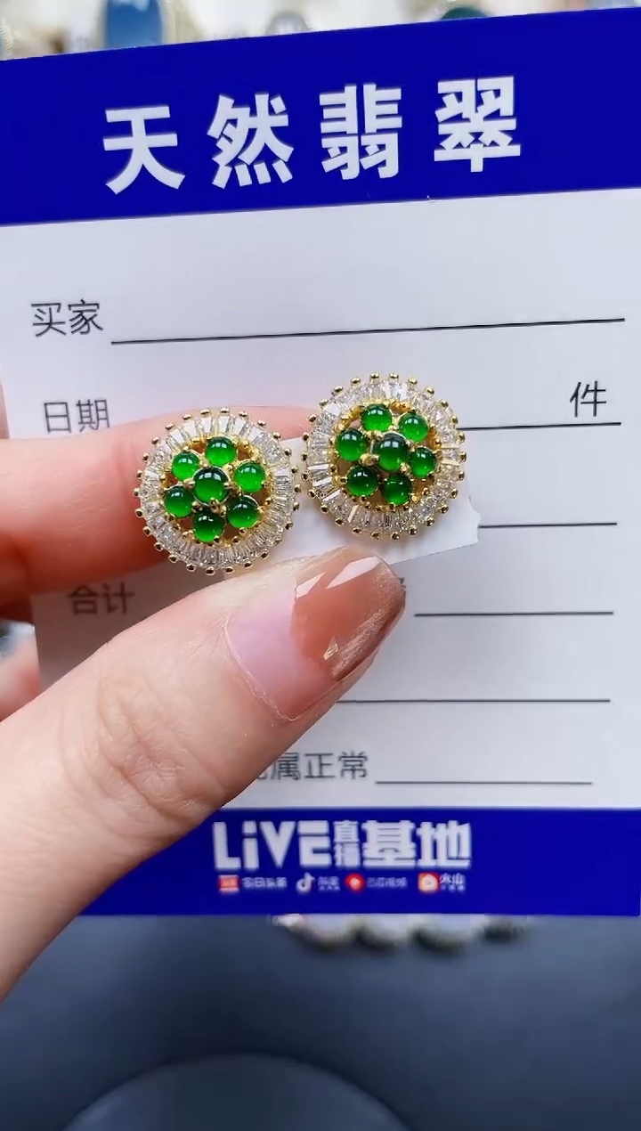 银S925镶嵌翡翠耳饰161