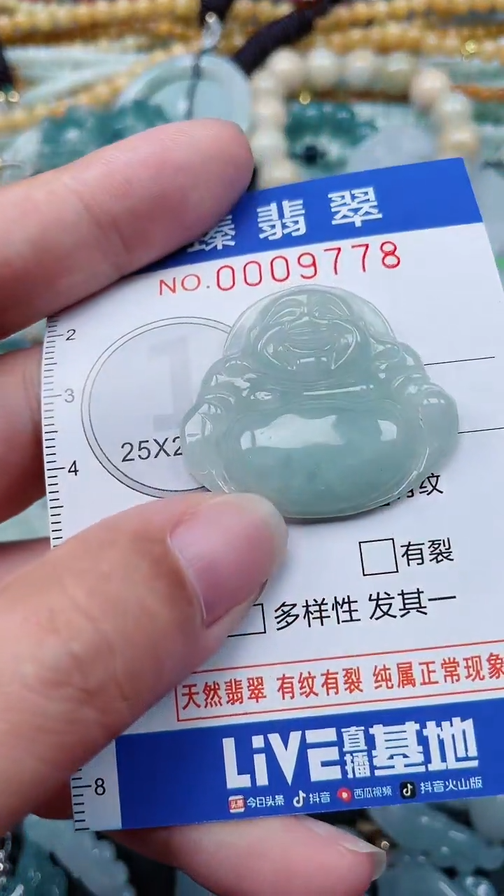 颈饰未镶嵌翡翠.0009778