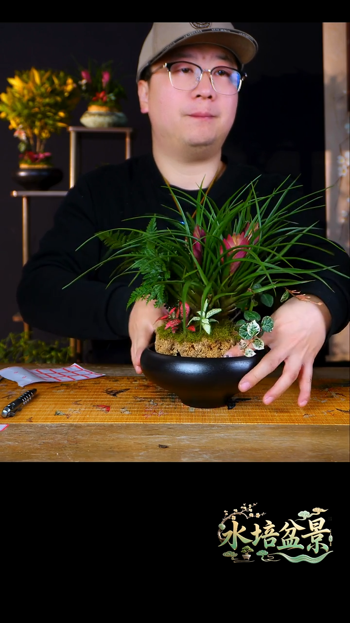 石云社一物一拍组合盆栽11