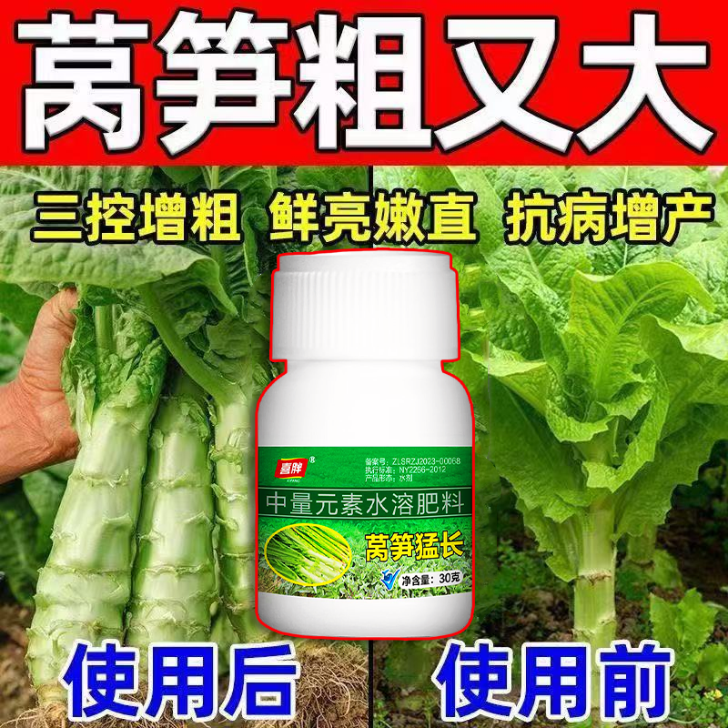 莴笋三控粗嫩长莴笋叶面肥绿叶快速膨大茎秆粗壮抗增产促控结合