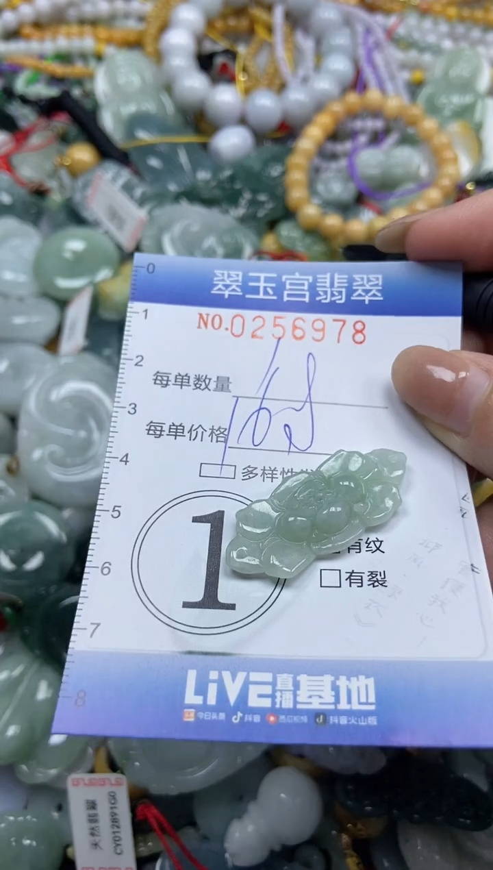 颈饰未镶嵌翡翠闪购C0256978