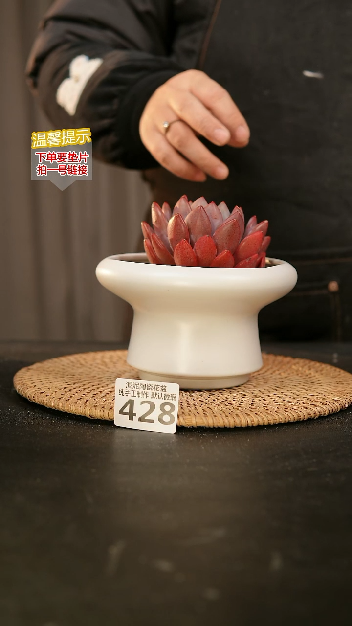 瓷片428内口径约12  外高约8