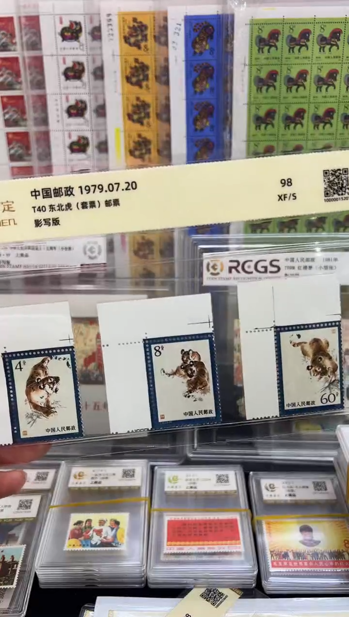 t40 东北虎直角边