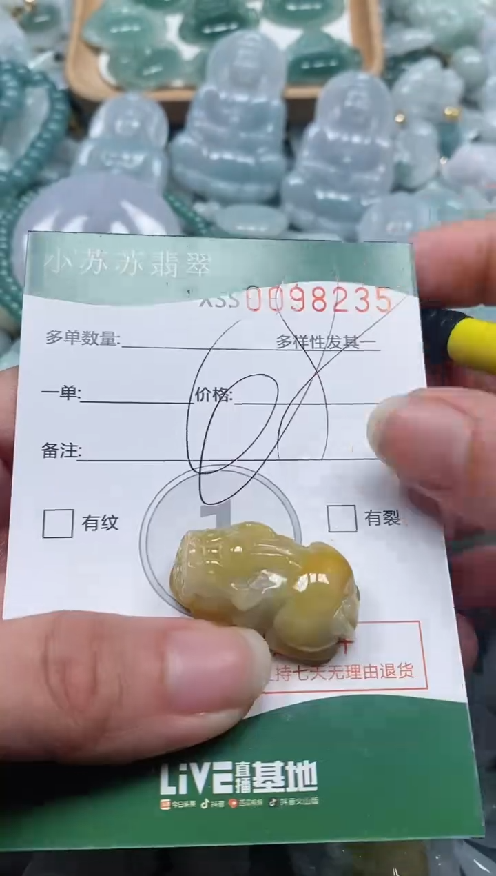 【闪购商品】翡翠颈饰未镶嵌闪购商品0098235