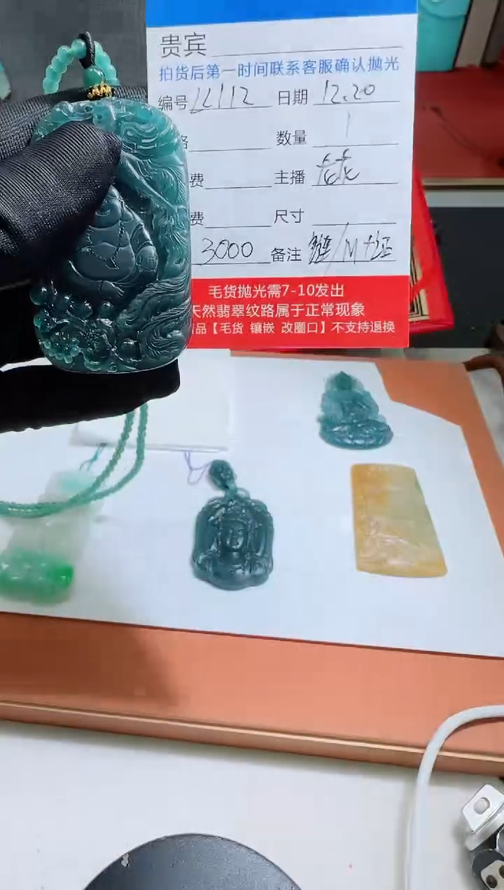 未镶嵌定制翡翠LL112翡翠吊坠赠珠链-多样性发其一