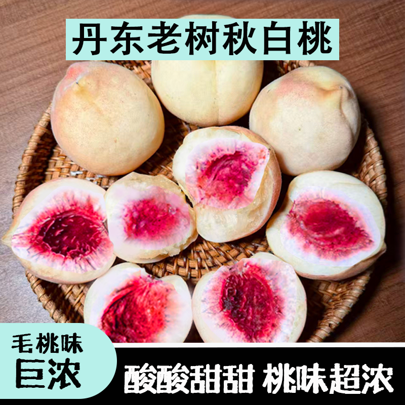 【放软酸酸甜甜】丹东老树秋白桃 酸大于甜放软沙沙糯糯桃味十足Q