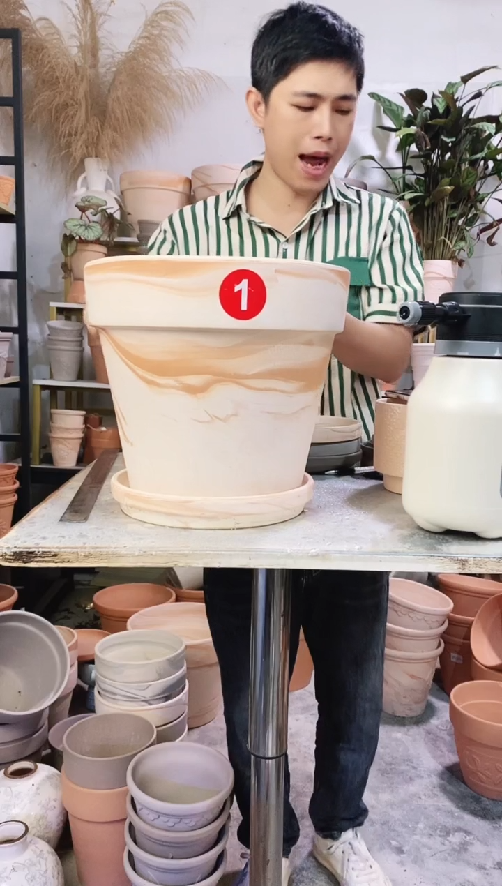 30*27玛奇朵 1盆1托