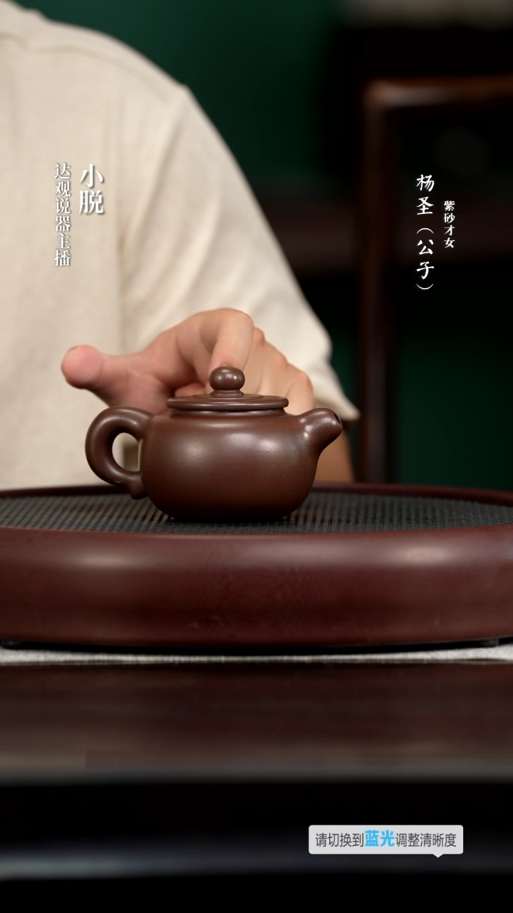 茶壶紫砂YSS49杨圣砥砺底槽清200cc