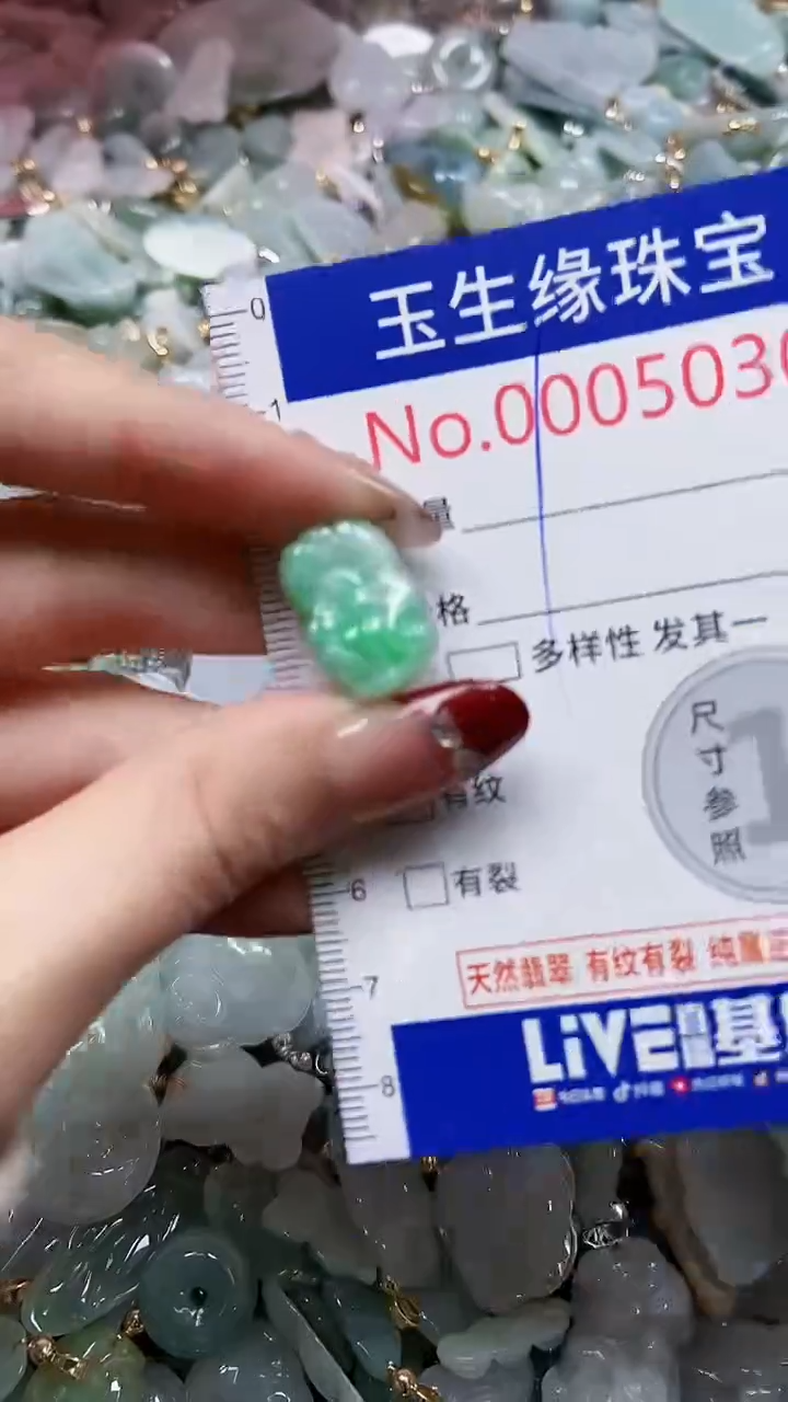 【闪购商品】翡翠颈饰未镶嵌闪购00005030