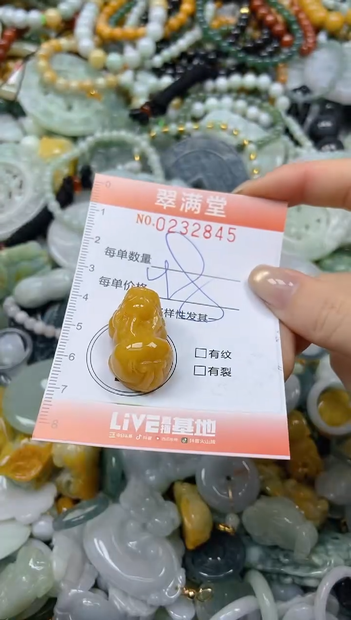 未镶嵌挂件翡翠闪购0232845