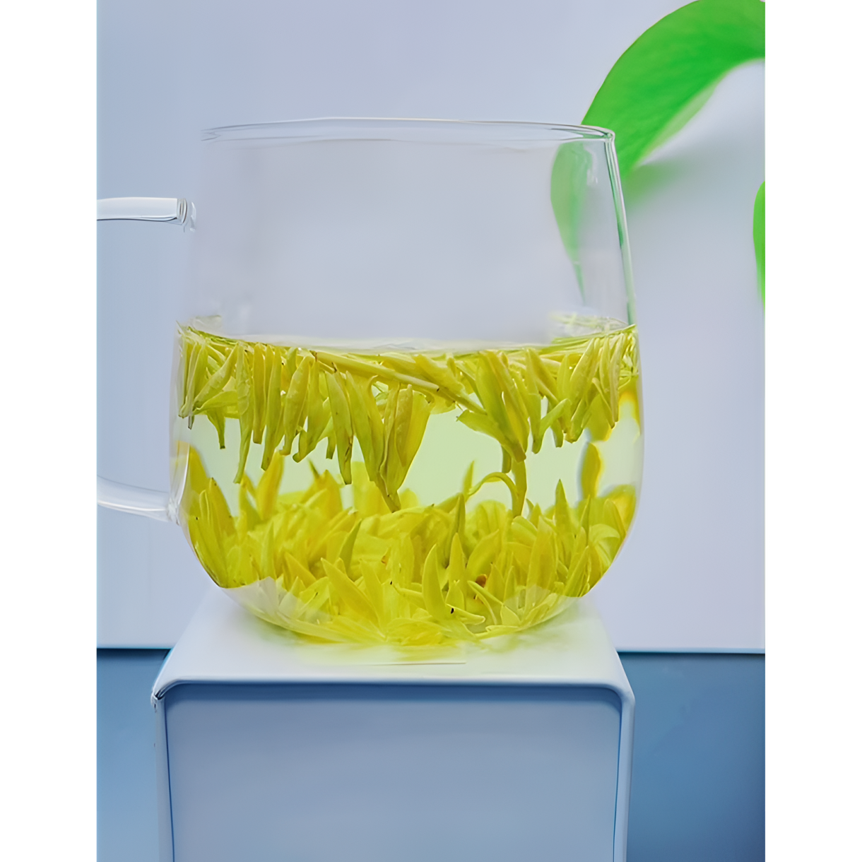 2025新茶黄金芽奶白茶奶香兰花香春茶好喝不贵一芽一叶黄金芽