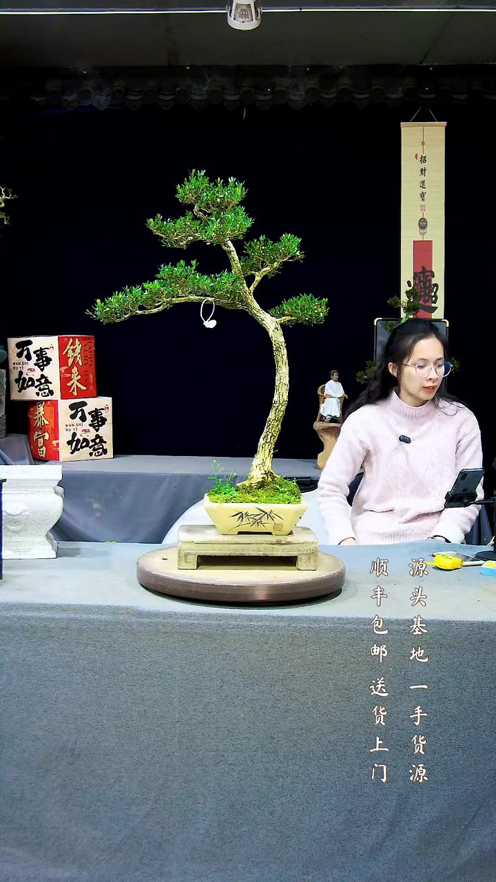 【闪购商品】雀舌黄杨盆景雀舌黄杨盆景