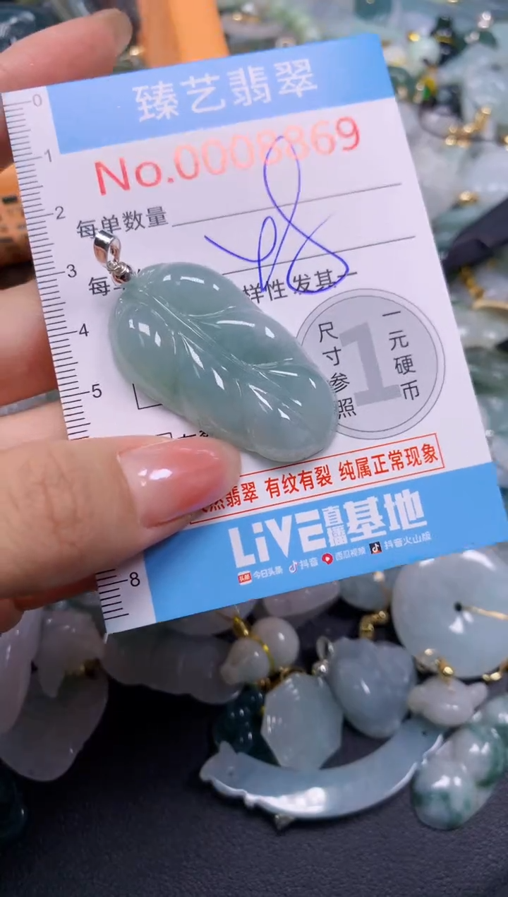 颈饰未镶嵌翡翠8869