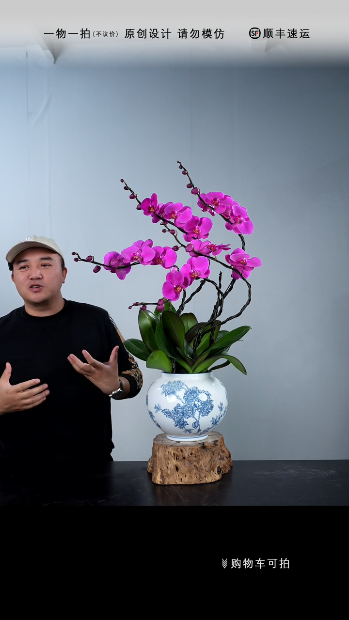 【闪购商品】029号链接【一物一拍】艺术盆景