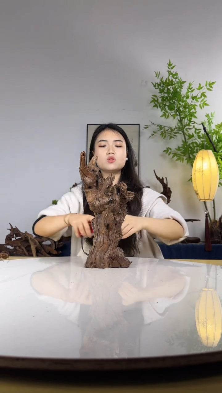 蔯拍沉木定向链接编号45