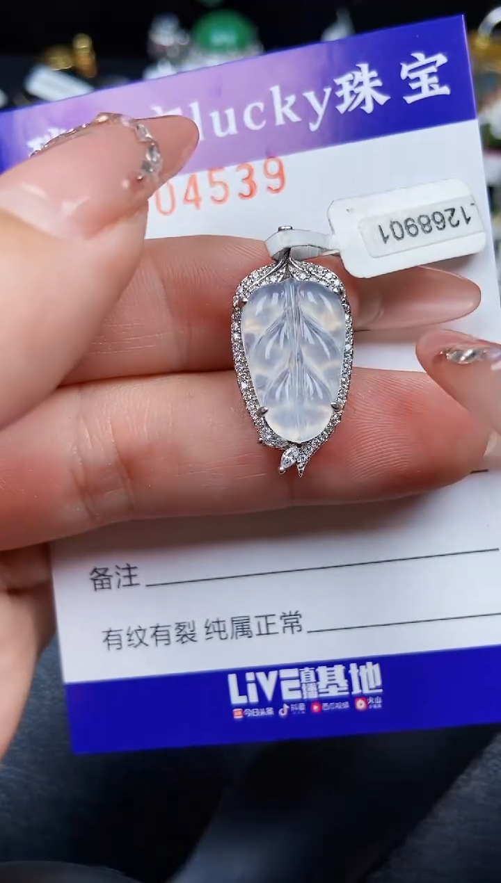 翡翠银S925镶嵌颈饰4539