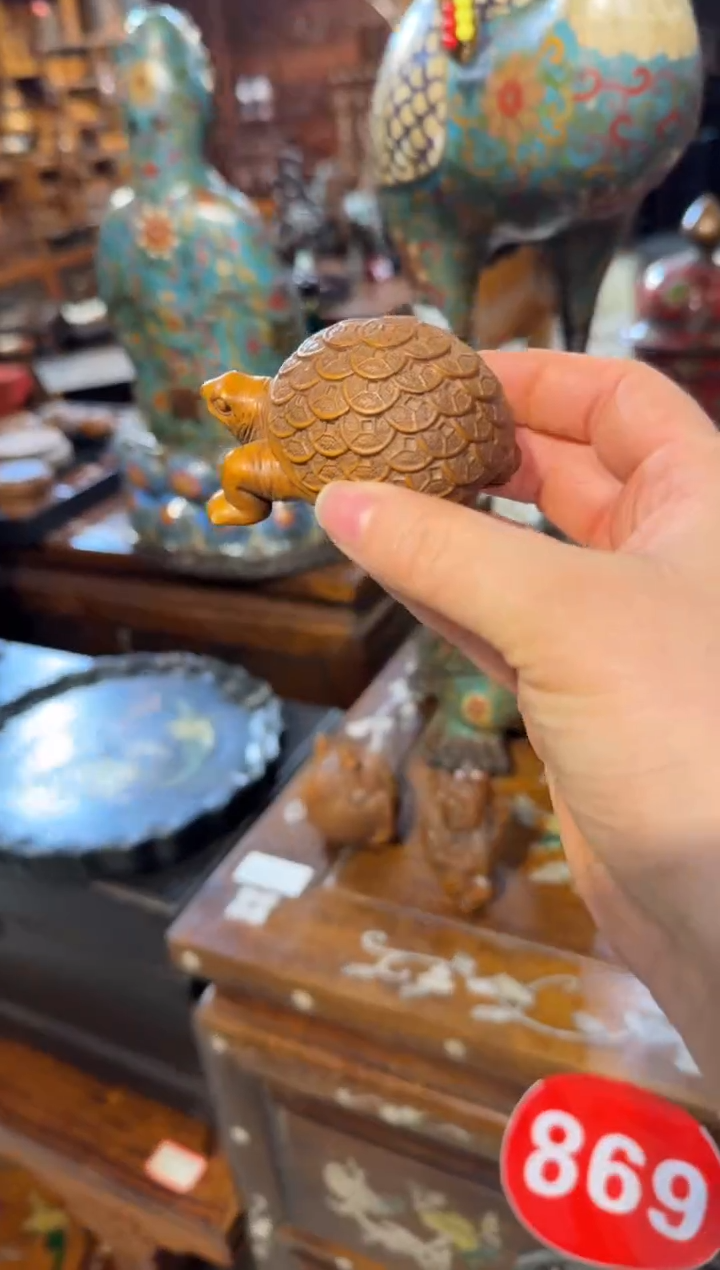 木黄杨木金钱龟168.88888