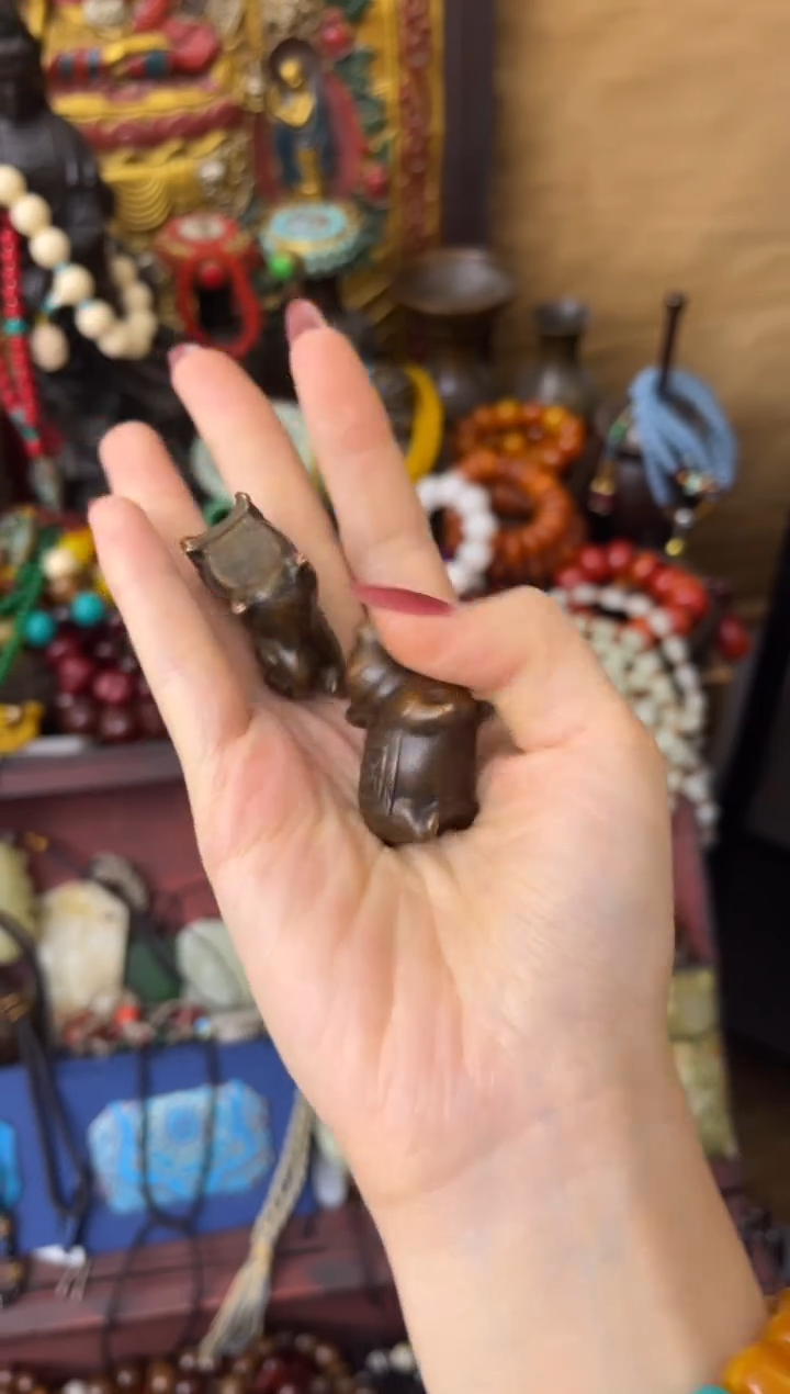 木张张张壹号专属链接铜猪