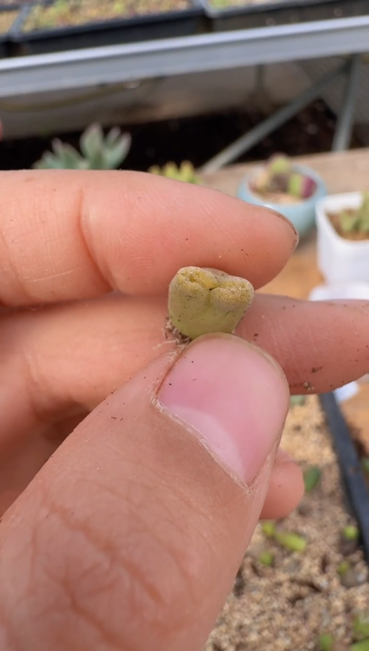 【闪购商品】9--45